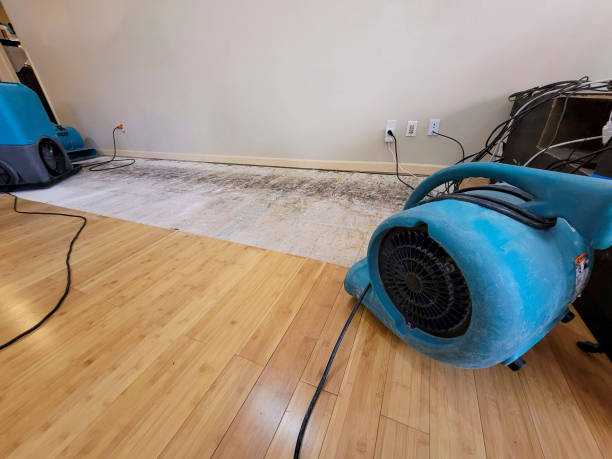 Professional Ceiling Water Damage Repair technician working in Sanbornton, NH
